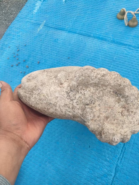 古玩雜項羊首真品鑒賞圖
