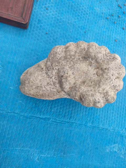 古玩雜項羊首真品鑒賞圖