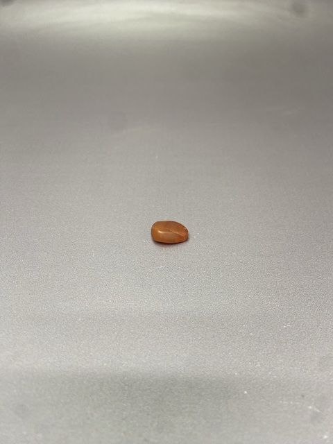 古玩陶瓷清代瑪瑙珠拍賣,當前價格89元