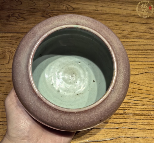 古玩陶瓷豇豆紅水呈真品鑒賞圖