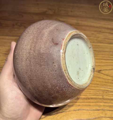 古玩陶瓷豇豆紅水呈真品鑒賞圖