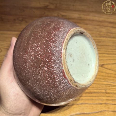 古玩陶瓷豇豆紅水呈真品鑒賞圖