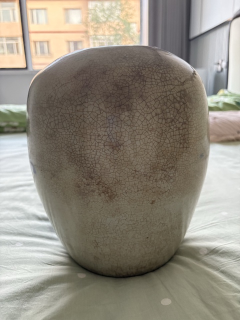 古玩陶瓷青花花鳥紋冬瓜罐真品鑒賞圖