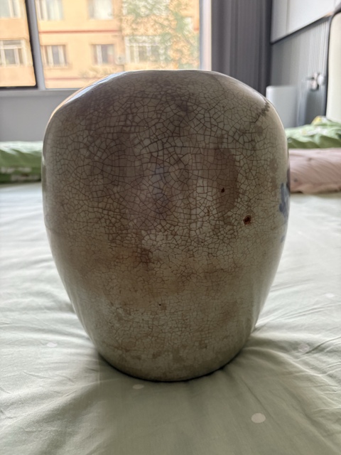 古玩陶瓷青花花鳥紋冬瓜罐真品鑒賞圖