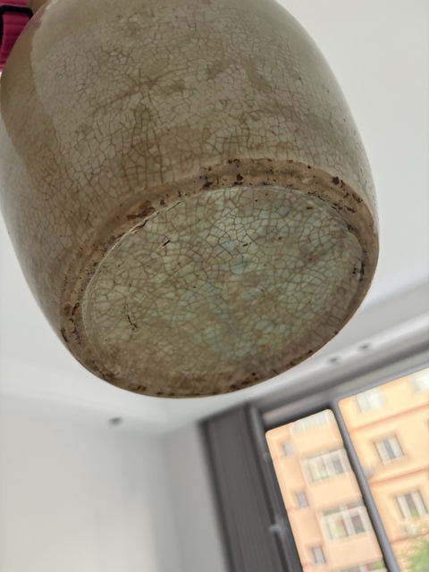 古玩陶瓷青花花鳥紋冬瓜罐真品鑒賞圖