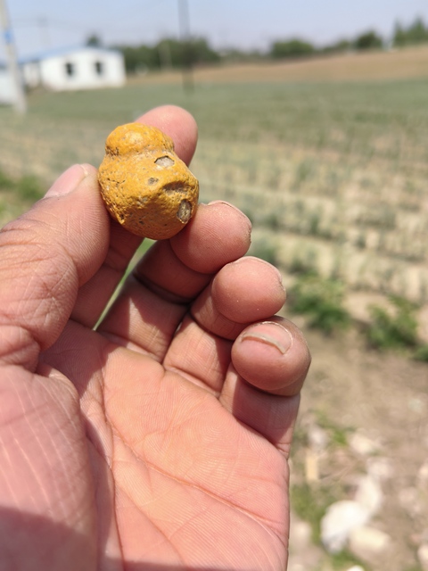 古玩雜項奇石真品鑒賞圖