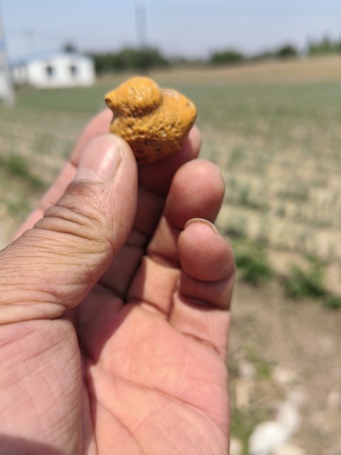 古玩雜項奇石真品鑒賞圖