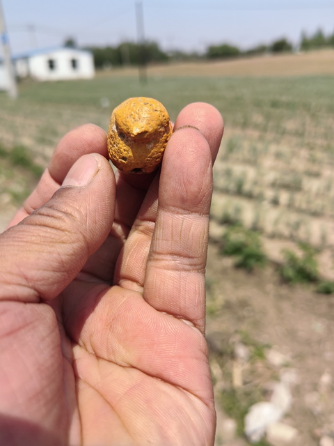 古玩雜項奇石真品鑒賞圖