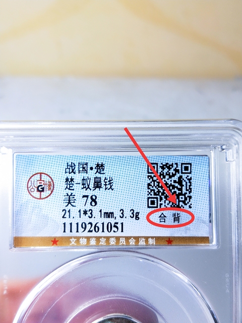 古玩錢幣戰 國 -楚 蟻鼻錢{合背}拍賣,當前價格486元