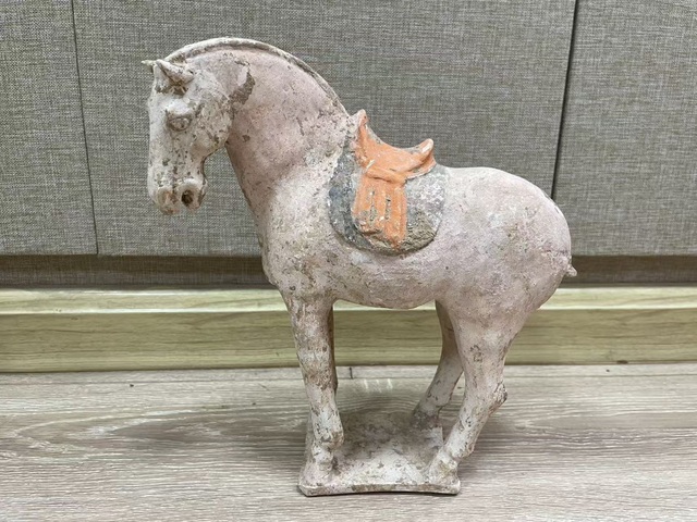 古玩陶瓷唐代·彩繪陶馬真品鑒賞圖