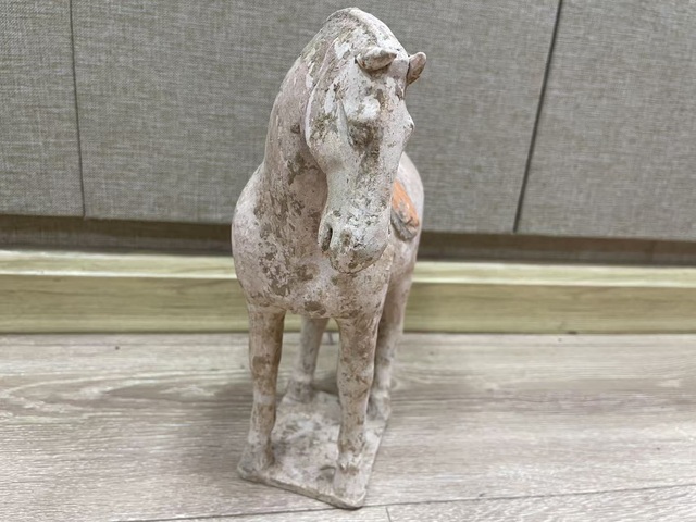 古玩陶瓷唐代·彩繪陶馬真品鑒賞圖