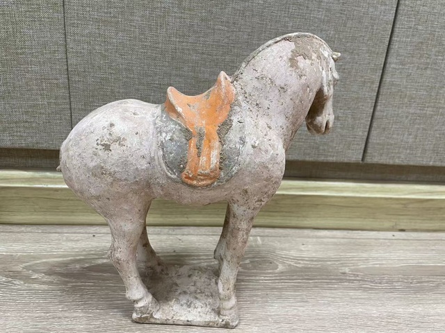 古玩陶瓷唐代·彩繪陶馬真品鑒賞圖