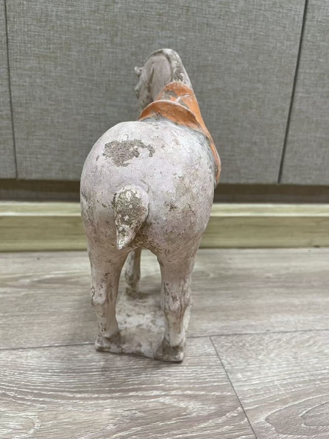 古玩陶瓷唐代·彩繪陶馬真品鑒賞圖