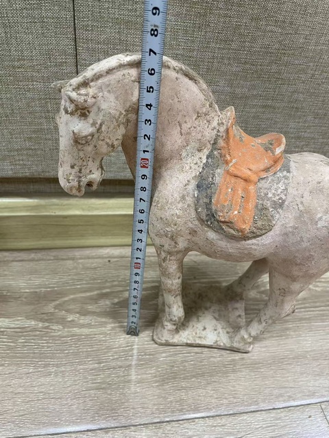 古玩陶瓷唐代·彩繪陶馬真品鑒賞圖