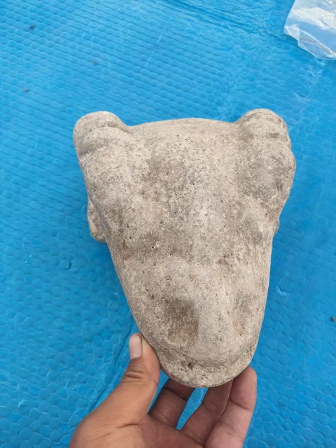 古玩雜項羊首真品鑒賞圖
