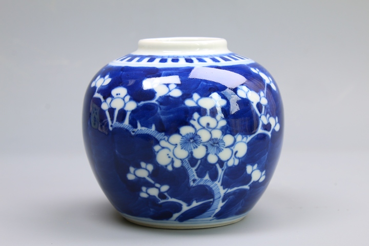 古玩陶瓷清晚期·青花留白折枝冰梅紋罐真品鑒賞圖
