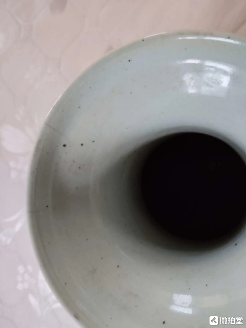 古玩陶瓷豆青釉青花花鳥紋盤口瓶真品鑒賞圖