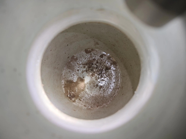 古玩陶瓷豆青釉青花花鳥紋盤口瓶真品鑒賞圖
