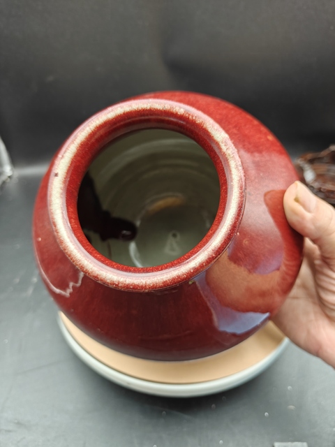 古玩陶瓷紅釉罐真品鑒賞圖