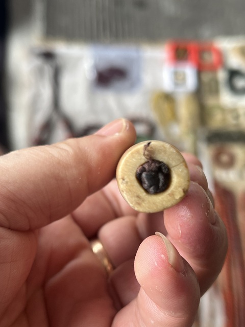 古玩玉器地方料勒子真品鑒賞圖
