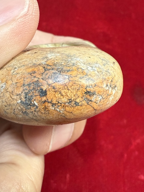 古玩玉器仿古玉龍真品鑒賞圖
