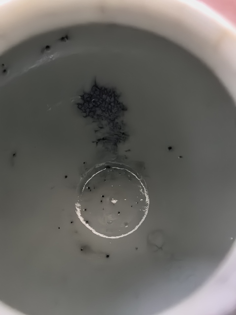 古玩陶瓷紅釉瓷豆或者水盂真品鑒賞圖