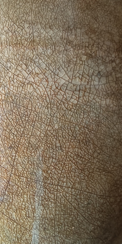 古玩陶瓷青釉罐真品鑒賞圖