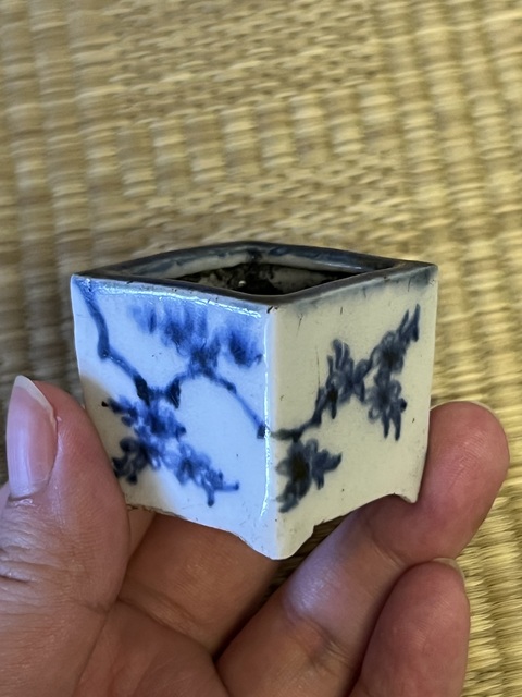 古玩陶瓷青花花卉紋四方洗真品鑒賞圖