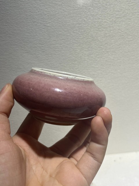 古玩陶瓷豇豆紅水洗真品鑒賞圖