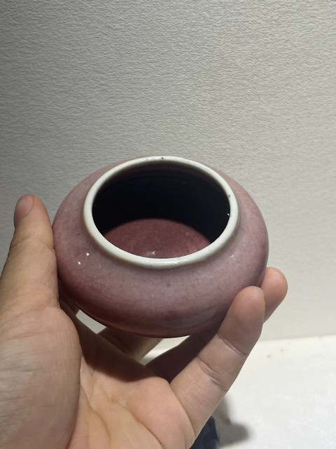 古玩陶瓷豇豆紅水洗真品鑒賞圖