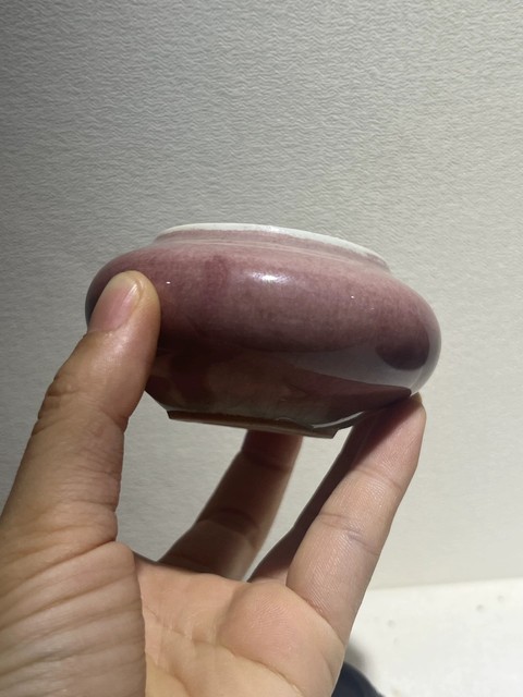 古玩陶瓷豇豆紅水洗真品鑒賞圖