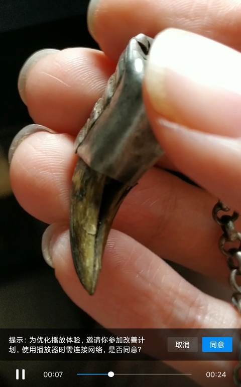 古玩雜項摸金掛飾真品鑒賞圖