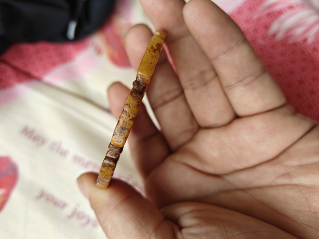 古玩玉器仿古做舊玉璧型件真品鑒賞圖