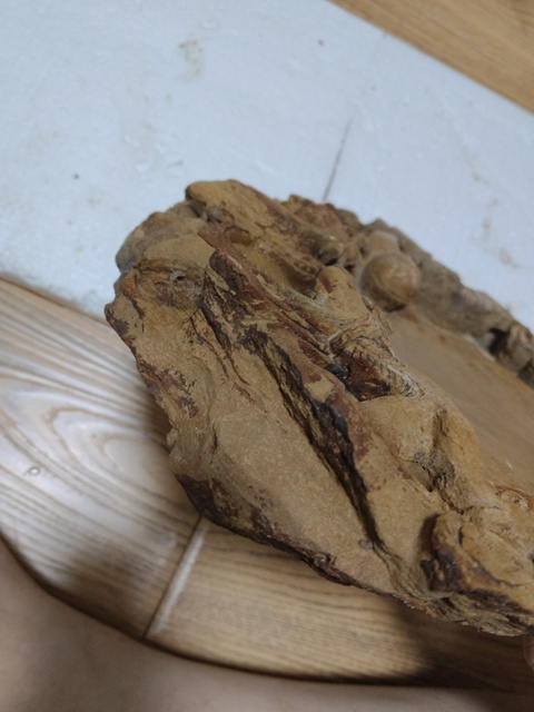 古玩雜項(xiàng)云龍紋硯真品鑒賞圖
