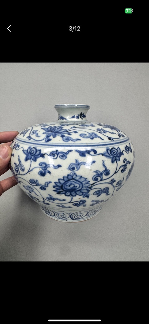 古玩陶瓷明晚期 青花纏枝花卉紋嘟嚕瓶真品鑒賞圖