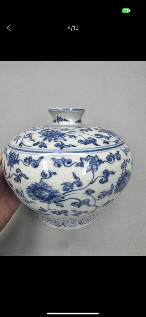 古玩陶瓷明晚期 青花纏枝花卉紋嘟嚕瓶真品鑒賞圖