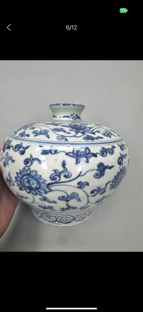 古玩陶瓷明晚期 青花纏枝花卉紋嘟嚕瓶真品鑒賞圖
