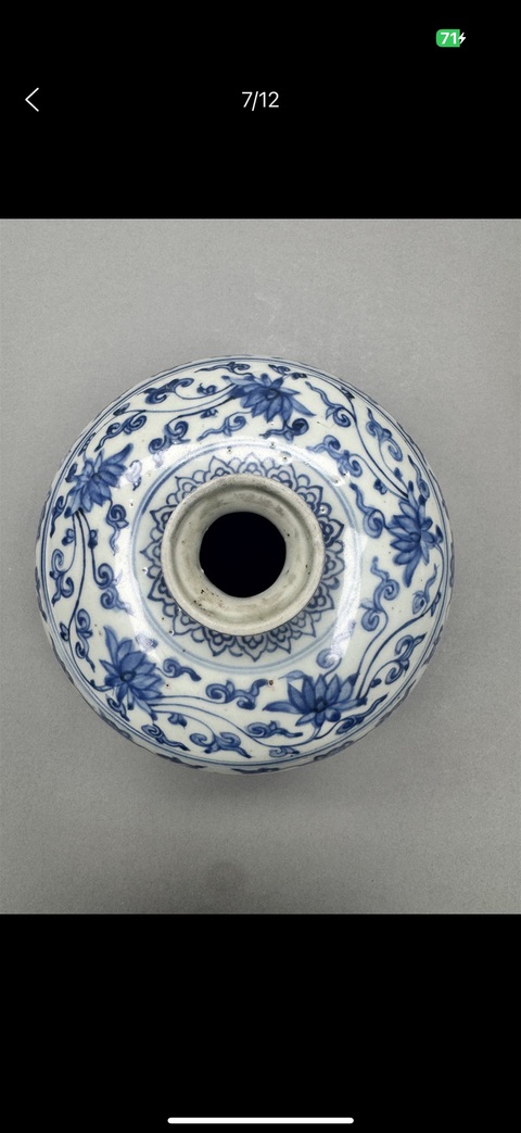 古玩陶瓷明晚期 青花纏枝花卉紋嘟嚕瓶真品鑒賞圖