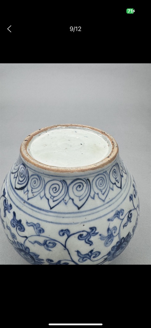 古玩陶瓷明晚期 青花纏枝花卉紋嘟嚕瓶真品鑒賞圖