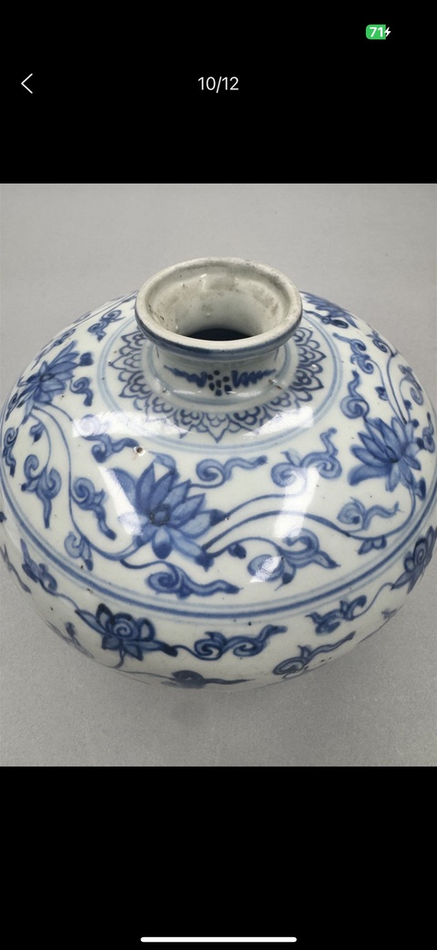 古玩陶瓷明晚期 青花纏枝花卉紋嘟嚕瓶真品鑒賞圖
