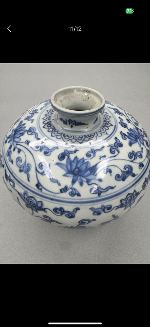 古玩陶瓷明晚期 青花纏枝花卉紋嘟嚕瓶真品鑒賞圖