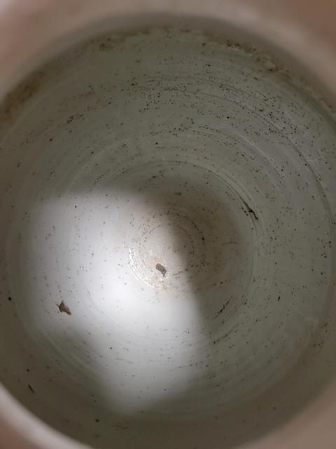古玩陶瓷花卉紋青花罐真品鑒賞圖
