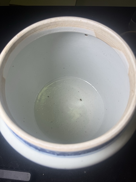 古玩陶瓷壽字紋青花四系粥罐真品鑒賞圖