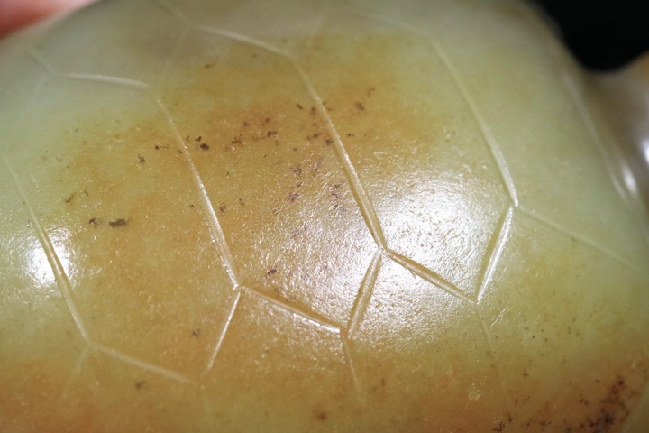 古玩玉器現代仿紅山玉龜真品鑒賞圖