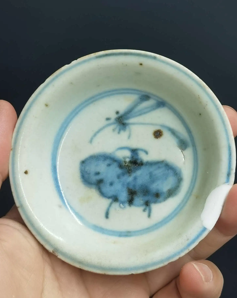 古玩陶瓷明代晚期青花花蝶紋盤真品鑒賞圖
