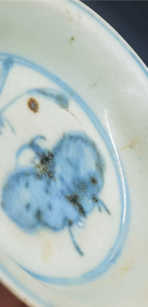 古玩陶瓷明代晚期青花花蝶紋盤真品鑒賞圖
