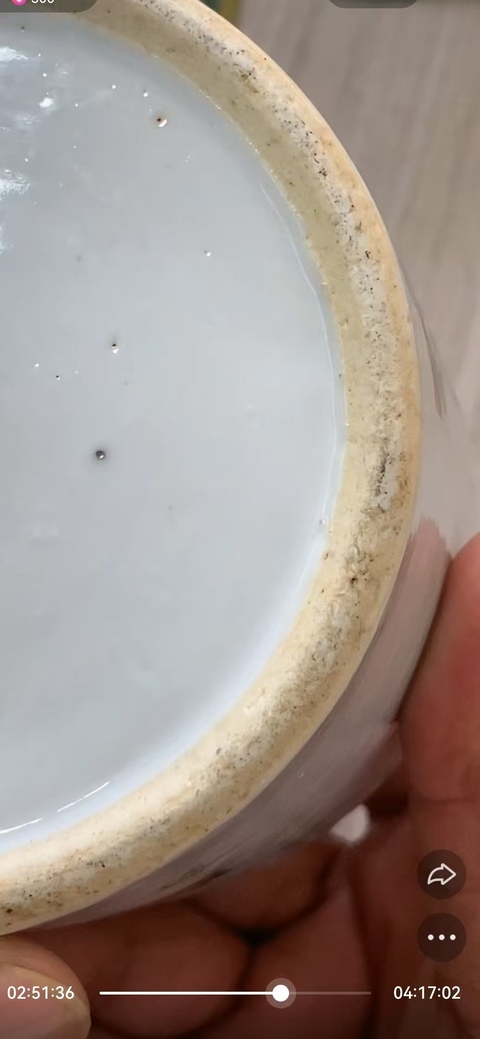 古玩陶瓷粉彩壺真品鑒賞圖