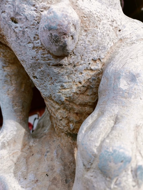 古玩雜項拴馬樁真品鑒賞圖