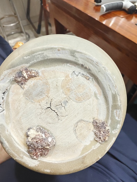 古玩陶瓷宋代青釉瓶真品鑒賞圖