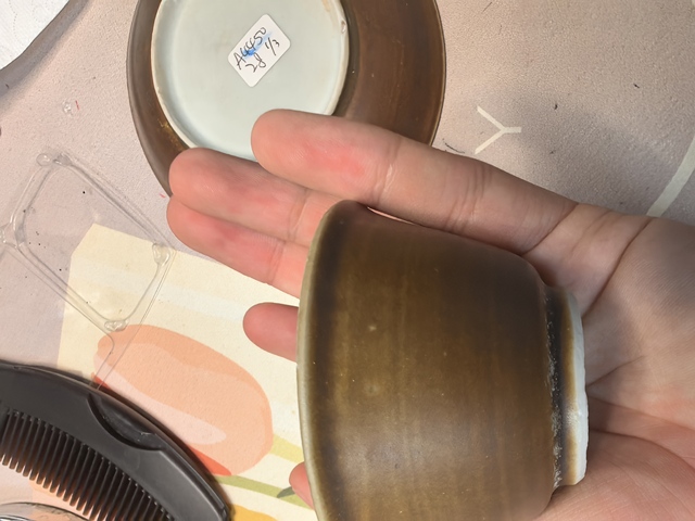 古玩陶瓷康熙紫金釉青花杯碟真品鑒賞圖